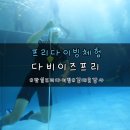 서울 잠실 다비이즈프리 프리다이빙 체험 후기