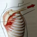 R1 운동과학센터 이미지
