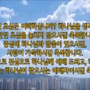 [2026 살아나는 아침 살리는 하루]70번째 아침 묵상 - 시편 9편(feat.크리스챤윰윰) / 서울모테트합창단의 '전심으로 여호와께 이미지