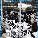 소고목장 이미지