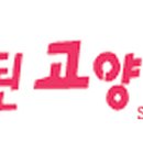 못된고양이 이미지