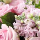 해운대산부인과의원 이미지