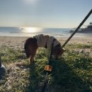 바다여행 이미지