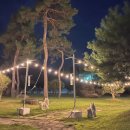 3903 | 전남 담양 바베큐장 분위기와 맛 모두 잡은 힐링 캠핑 후기