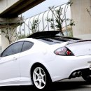 뉴버디클럽 이미지