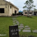 카카오 이미지