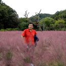 평강 이미지