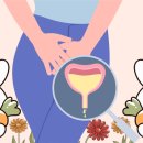 신양환경(주) | 🚨 왼쪽 아랫배와 방광 – 소변불편감과 함께 나타나는 통증, 하복부 냉증의 한방 해결법