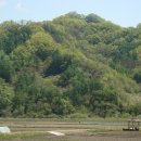 세중초등학교 이미지