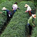 신양환경(주) 이미지