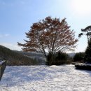 서일농장 이미지