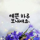 예쁜하루 이미지