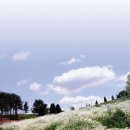 (주)카카오팜 이미지