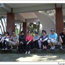 마그실농원 이미지