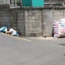 수원봉투