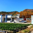 명전보건진료소 이미지