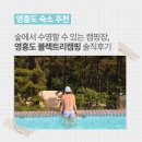 블랙트리하우스 | 영흥도 블랙트리캠핑 트리하우스 솔직후기 + 가격, 주차, 수영장