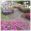 팽성어린이공원 이미지