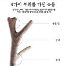 미쁨생활건강