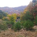 오늘참예쁘다(2) 이미지