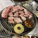 돼지특별시 이미지