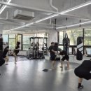 더 프리미엄 복싱 이미지