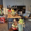 규현농장 이미지