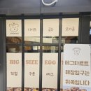 타르트곰 이미지