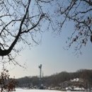 조영무선생 묘역 이미지