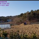 포항시남구53 이미지