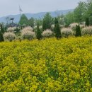 구리한강시민공원 이미지