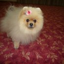 샤니미용실 이미지