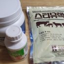 만지농장 이미지