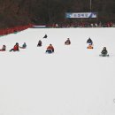 비발디송어골 이미지