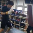 복서(BOXER) 삼성센터 이미지