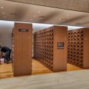 아쿠아필드 고양 이미지