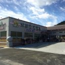 지리산인월송 이미지