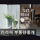 갤러리아부동산중개 | 갤러리아 부동산중개 청담역 인근 신뢰 가능한 중개소