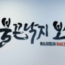 불끈낙지범일점 이미지