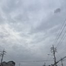 탄도항 | [안산] 대부도 석양맛집 탄도항 갔는데 구름만 실컷보고 온 후기