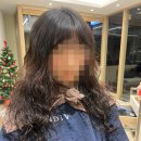 온디브 헤어