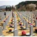 국립대전현충원 이미지