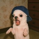 크크(ㅋㅋ)PC방 | 안아줘.여자만...