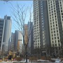 리얼공인중개사사무소 이미지