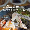 주문진항유리횟집 | 강릉 주문진 물회 맛집 주문진항 유리횟집 주차 메뉴 후기