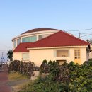 훼밀리김밥천국 | 갑자기 제주도 ?