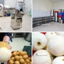 엠제이푸드 이미지