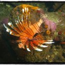 동산파크 이미지