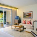 산드라니 이미지