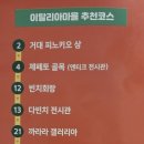 쉐누아빈치 이미지